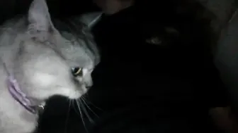 b_leable graceful devil with her palm rubs her vagina