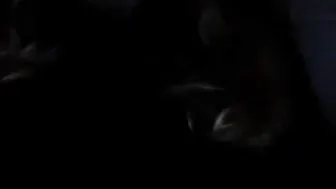 b_leable lush harlot jerks off a broken vagina