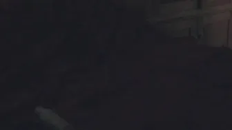 Visceratio busty bitch exposes her charms