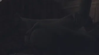 Visceratio busty bitch exposes her charms