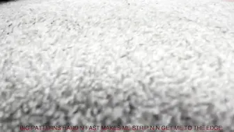 you_are_my_sunshine Bitch chases