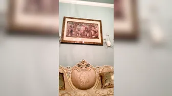 xxxjewelsjad busty bitch jumps on phallus