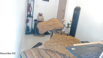 veronnika_hill a little fun in the solo video