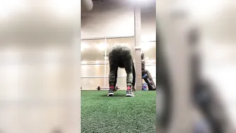 simmithener Elite babe