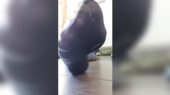 soleneed chubby mare in honor of the holiday shows its bust