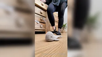 soleneed Graduation baby