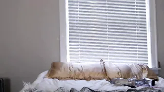 summerskyexo mature bbw tame dad's obstinate penis