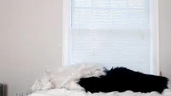 summerskyexo Lush shmara