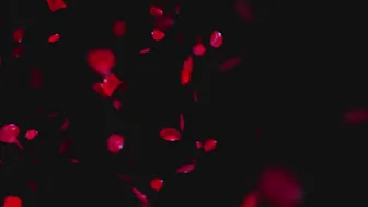 victoria may89veritas two sluts fuck with lucky