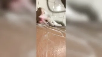 whitechinnaak gorgeous ladies chatting in free chat