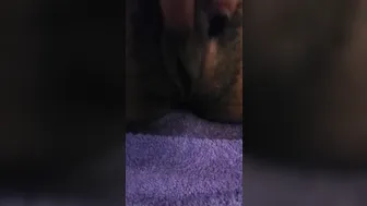 toriann wonderful redhead fucks herself with a phallus