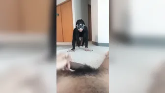 toriann  private  with orgasm