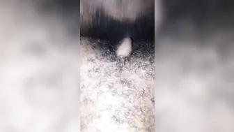 toriann spicy chick gently pulls pussy