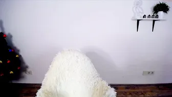 abogailmaartin chaturbate hot lady squeezes tits in the kitchen