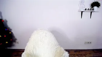 abogailmaartin chaturbate hot lady squeezes tits in the kitchen