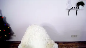 abogailmaartin chaturbate hot lady squeezes tits in the kitchen