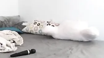 taylorwolfe myfreecams Impressive Kral