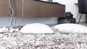 taylorwolfe myfreecams dark haired babe digging with sex machine