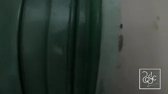 Rosie Black-haired mare