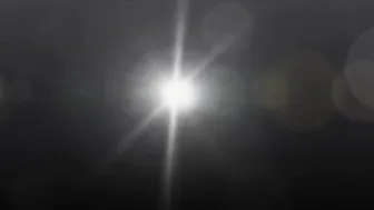 Krystal Orchid  Chubby brunette