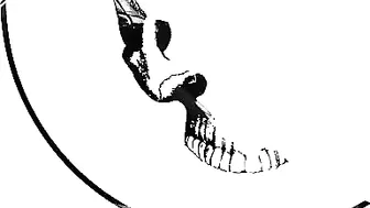 Alissa Noir adult bitch dabbles with rubber penis