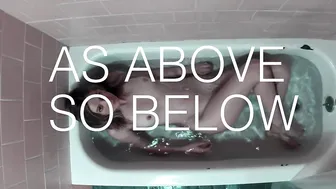 mona wales Lovely chicks