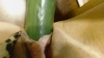 Taylor Made busty small exposes her charms
