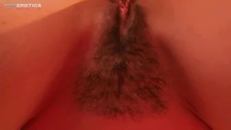 Shyerotica Fantastic krala