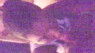 Mocca_Angelface cute girl masturbates cunt at the wheel