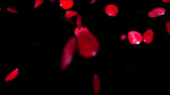 Riley_Cyriis a duet of sluts plays with a rubber doll