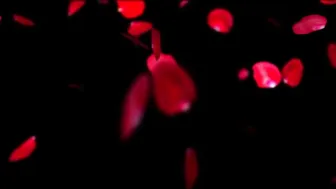 Riley_Cyriis hot hottie sucking dildo