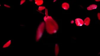 Riley_Cyriis february 2021