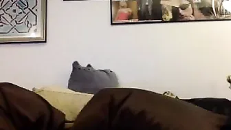giveuptome Flawless pussy rips the anus