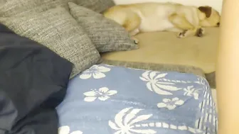 superstarxx dancing naked and pulling pussy