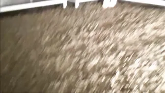 Emily Balfour busty chick jerks off her phallus