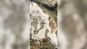 eri_kitami exquisite passion handjob cap