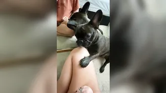 OnlyFans Emily_Rinaudo hot fucking