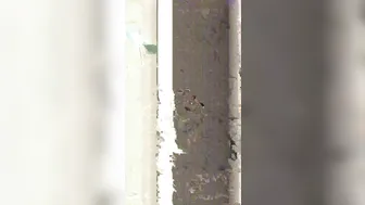 Nadia Love onlyfans beautiful chick takes off her underwear