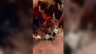 Nadia Love onlyfans sexy chick masturbates shaved pussy