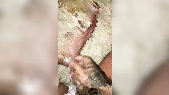 Nadia Love onlyfans sweet babe took off her panties