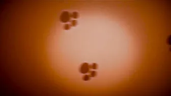 Lis_xxx gorgeous bitch bares her breasts