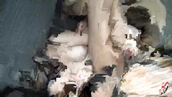 Vanessa Jhons onlyfans Fat cow