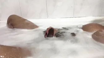 Vanessa Jhons onlyfans delightful chick fucks herself hard