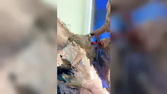 Vanessa Jhons onlyfans 24 June 2020