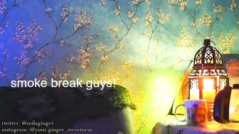 ginger_sweetness model