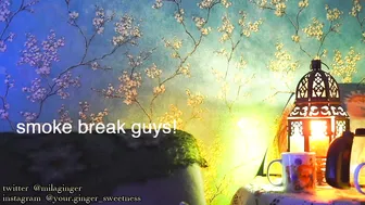 ginger_sweetness model