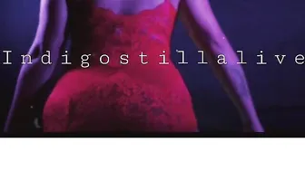 indigostillalive 06 October 2020