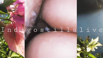 indigostillalive Juvenile slut
