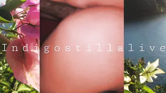 indigostillalive Juvenile slut