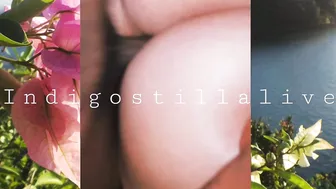 indigostillalive Juvenile slut